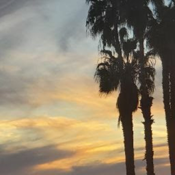 daniel_8731